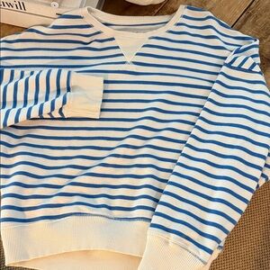 American Eagle Outfitters V-Neck Sweater in Blue and White Stripes